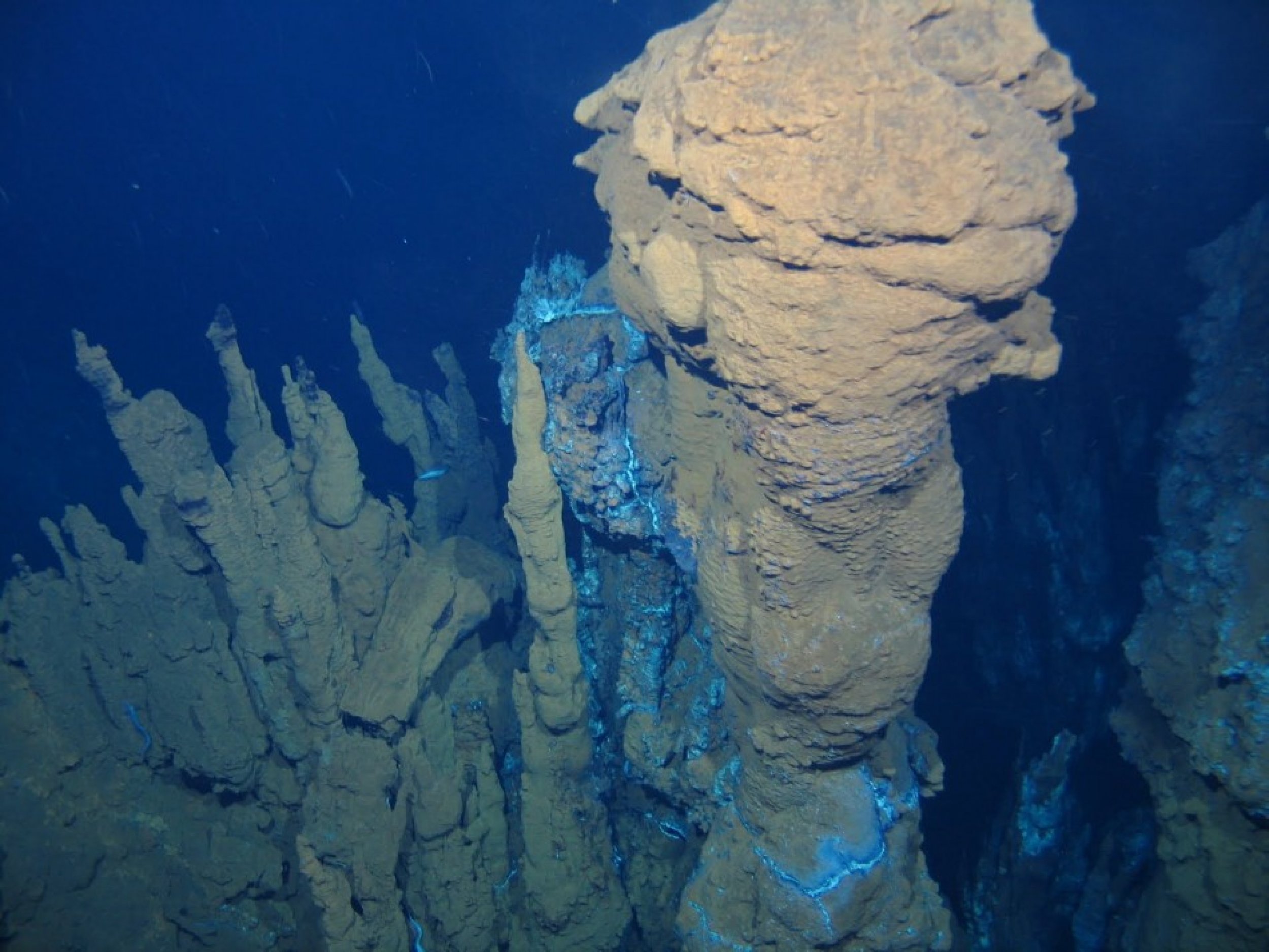 Smoking Volcanic Vents Discovered Deep in North Atlantic, Surface Supports Alien Life.