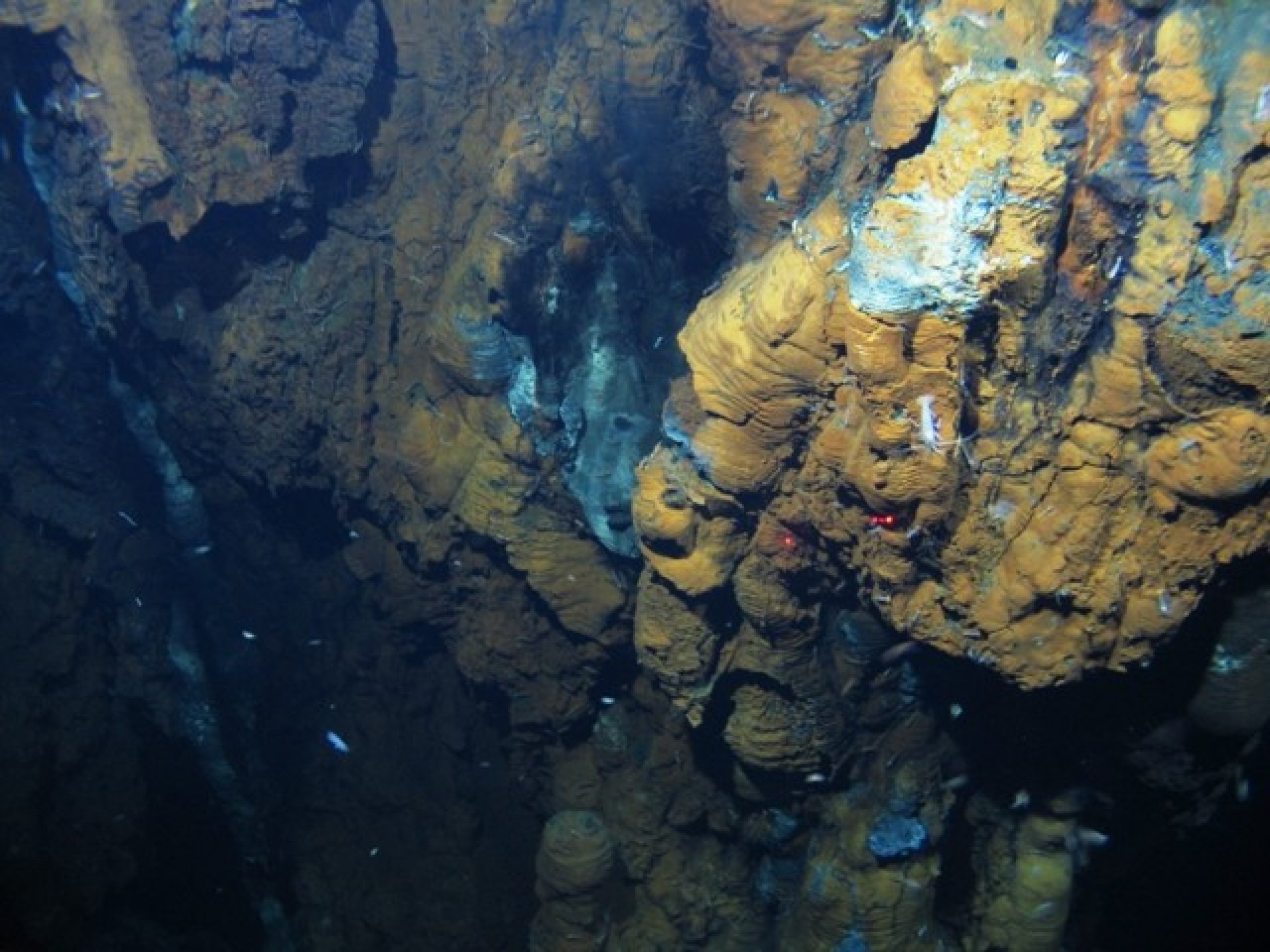 Smoking Volcanic Vents Discovered Deep in North Atlantic, Surface Supports Alien Life.