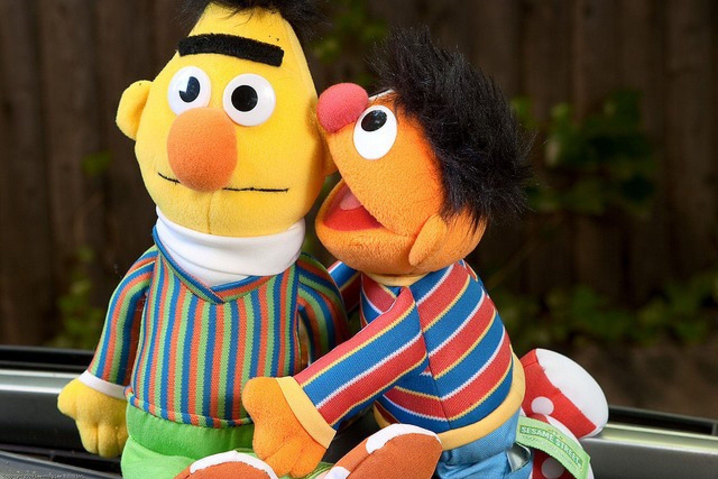 Bert And Ernie Of Sesame Street Not Gay Do Not Have A Sexual Orientation Ibtimes