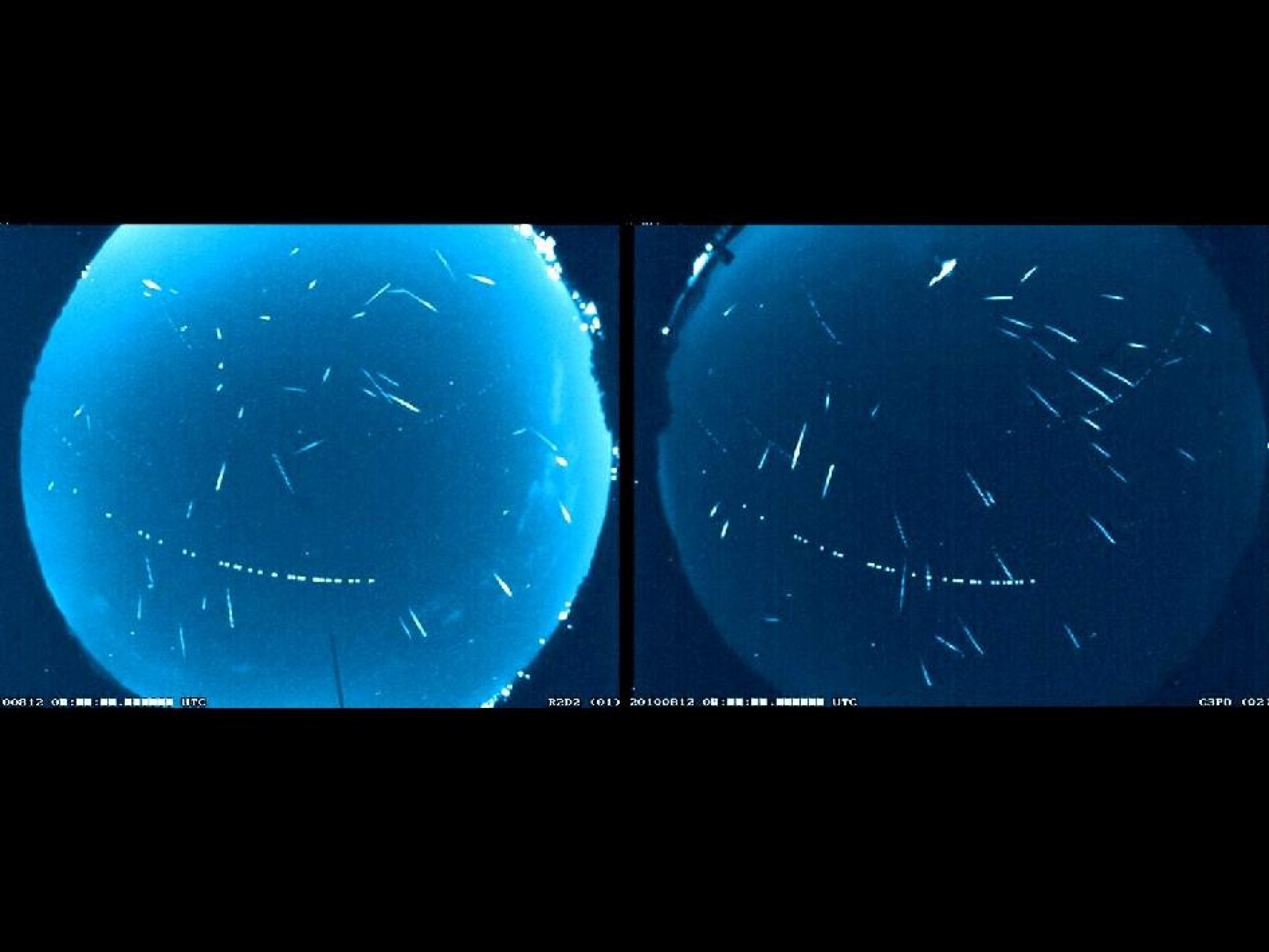 Composite of 2010 Perseid Meteors