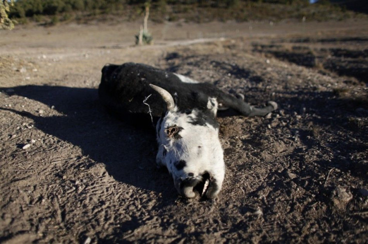 10. Mexico Drought