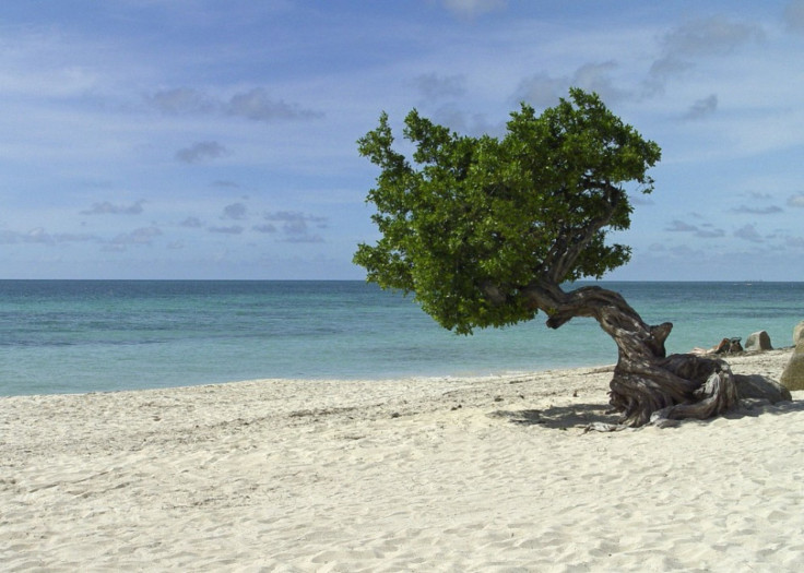 Eagle Beach, Aruba