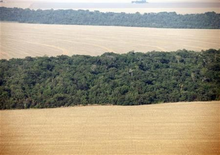 An aerial view of soy plantations flanking the Amazon forest in Mato Grosso September 8, 2011. Mato Grosso is the biggest grains-producing state in Brazil.
