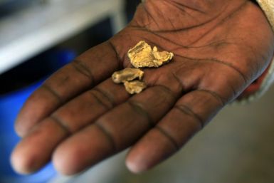 Worker holds freshly mined gold samples