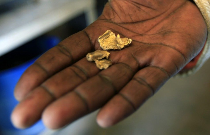 Worker holds freshly mined gold samples