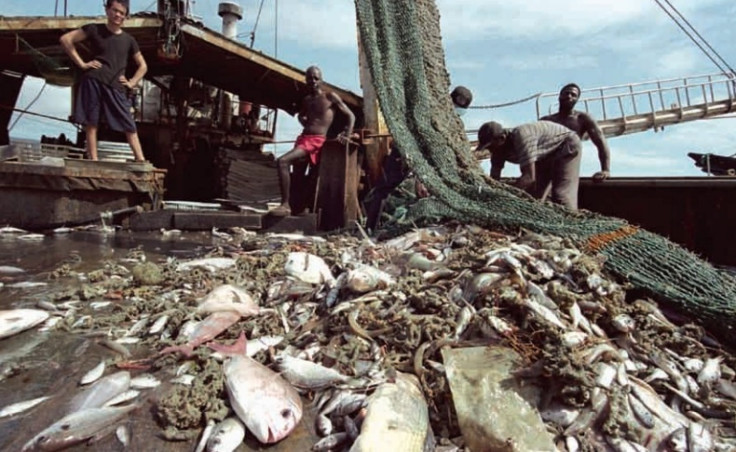 Trawling Vessel