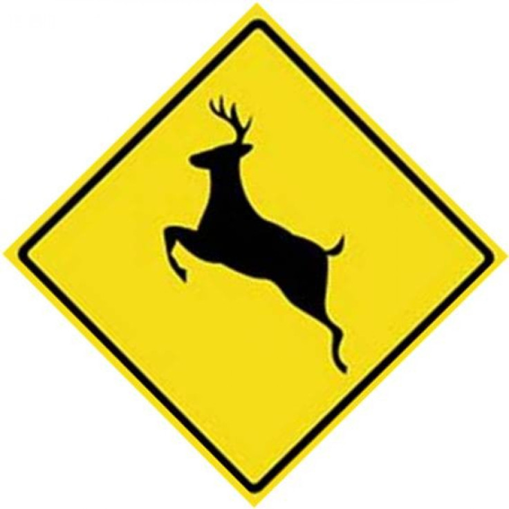 Three deer hunters have been detained, one of them having been arrested on suspicion of trespassing, for possibly shooting two male students participating in outdoor basketball tryouts at Harwell Middle School in south Texas on Monday, according to the Lo