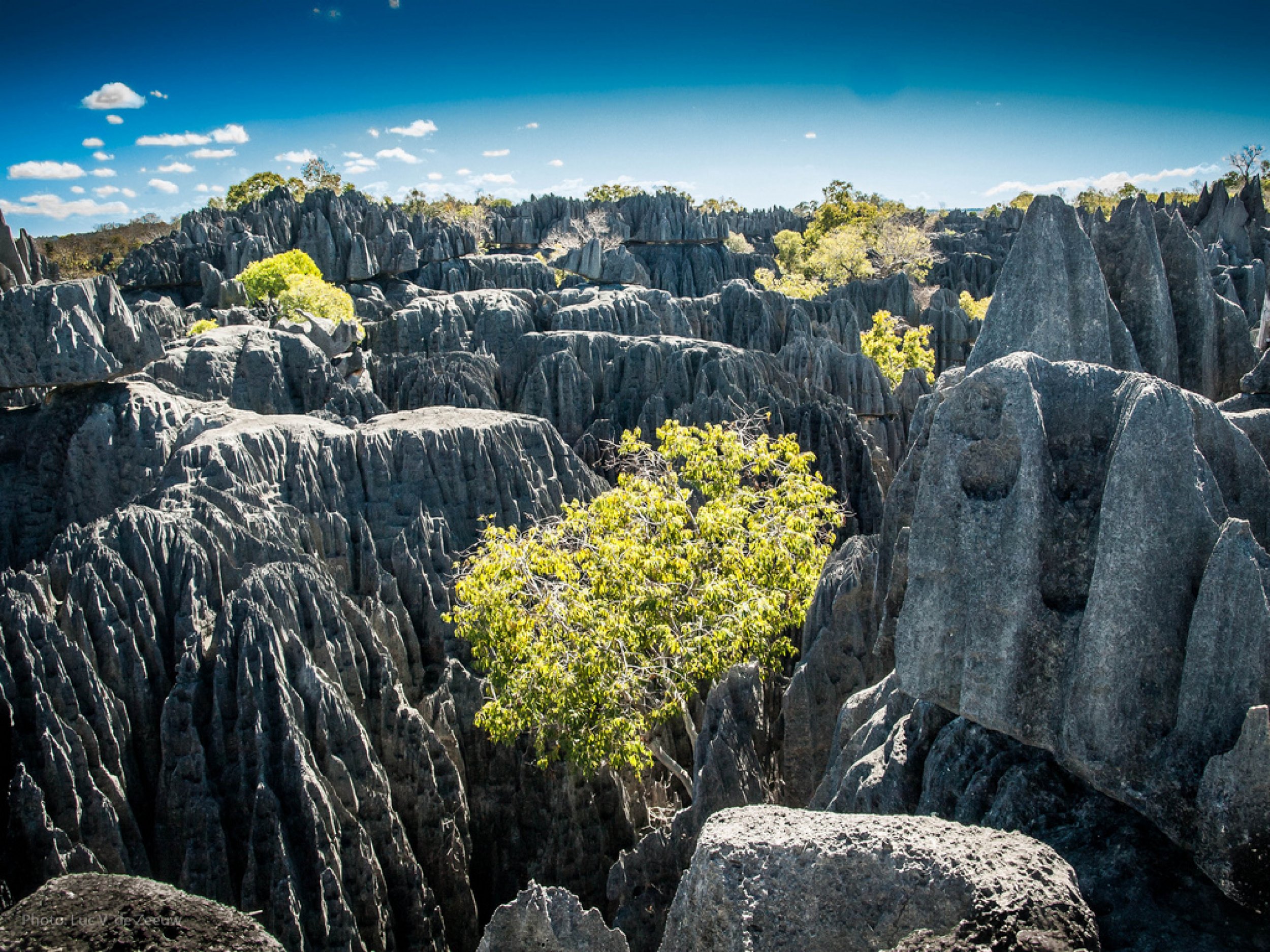 Tsingy Of Bemaraha, Madagascar