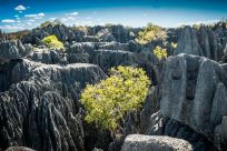 Tsingy Of Bemaraha, Madagascar