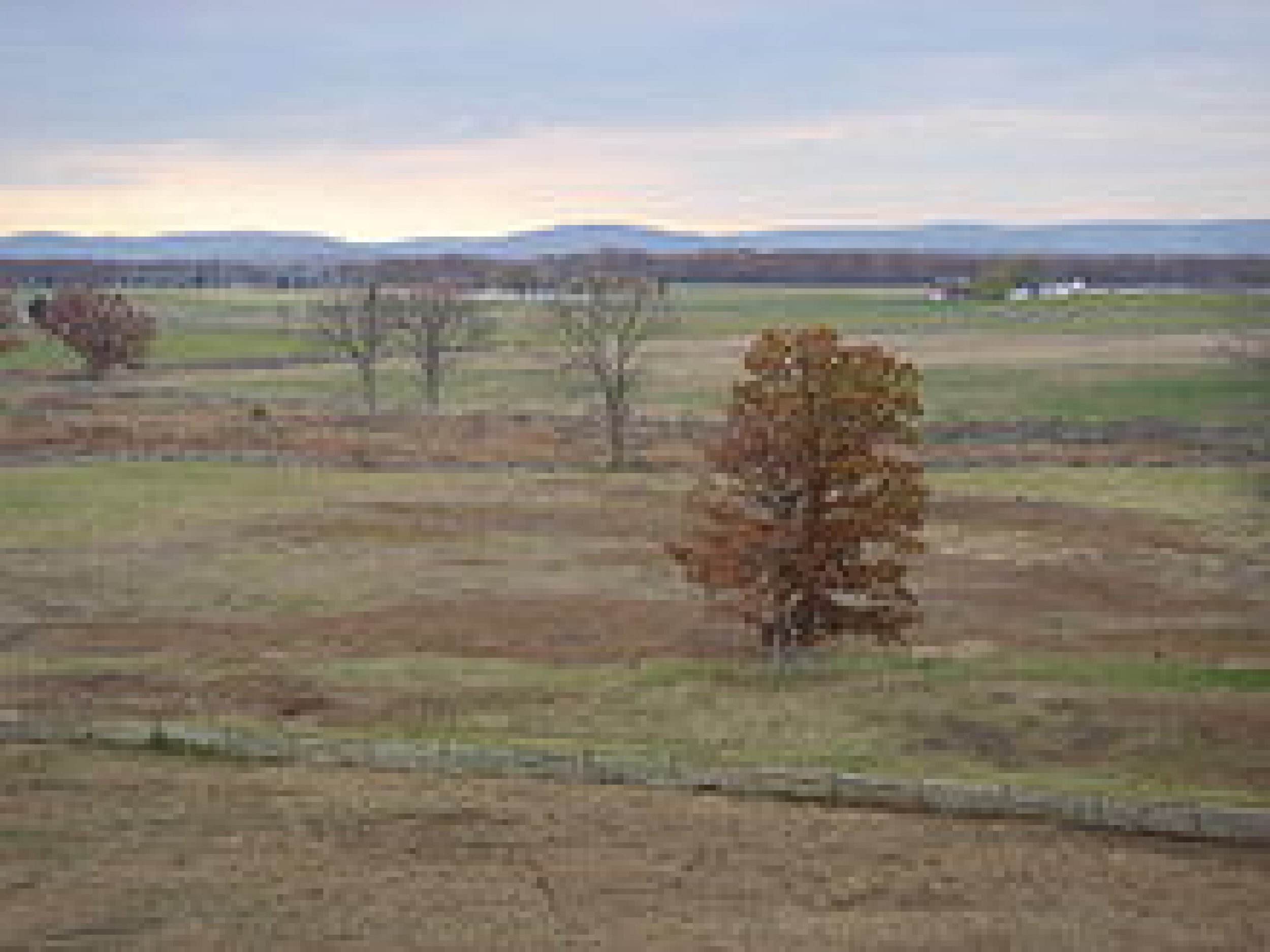220px-Gettysburgbattlefield