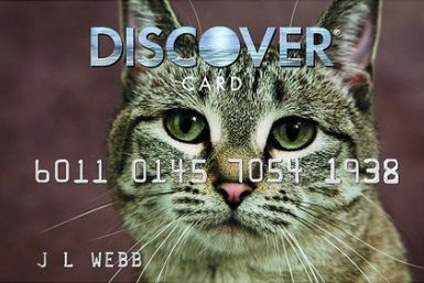 discover financial services credit card