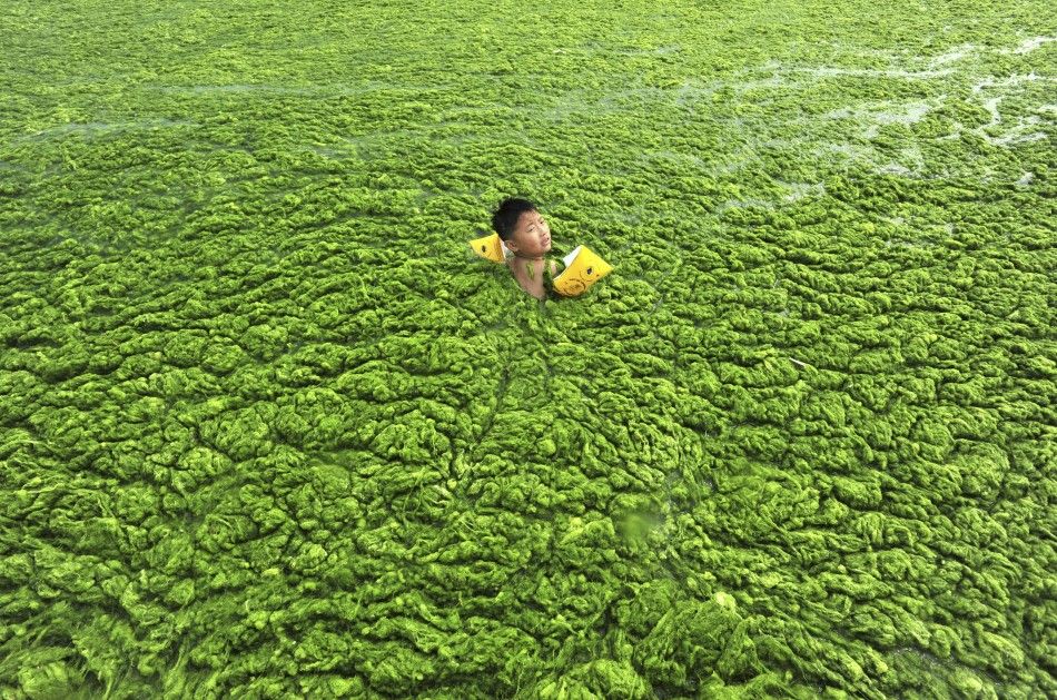Boy swimming in algae