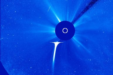 Comet Lovejoy Grazes the Sun and Survives