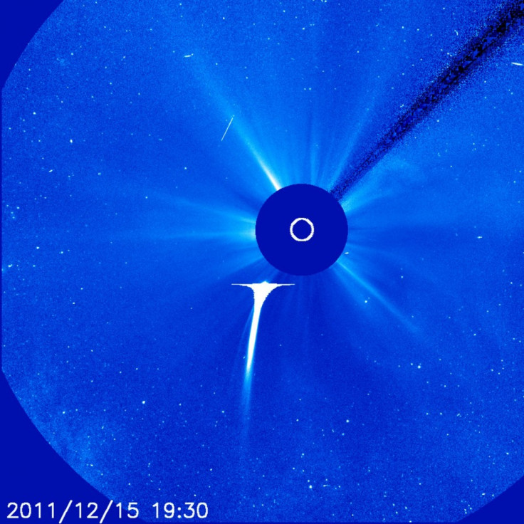 Comet Lovejoy Grazes the Sun and Survives