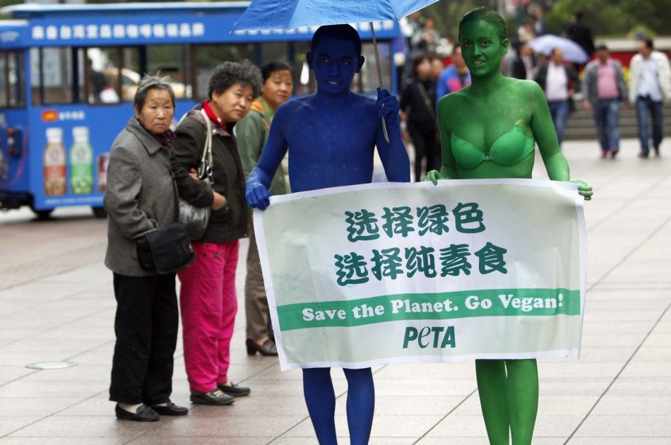 Animal Rights Protests in 2011 