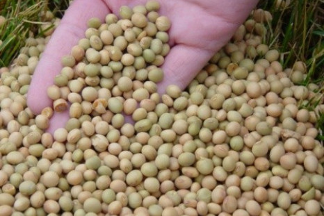 Global soybean supplies are down while U.S. exports rise.