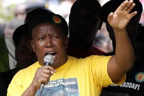 Malema wins ANC executive committee position