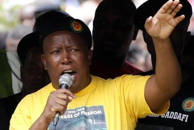 Malema wins ANC executive committee position