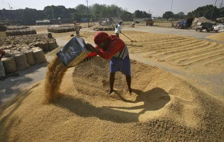 India grain 2012 2