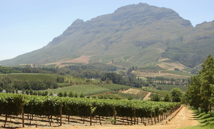 Delhaire Winery in South Africa
