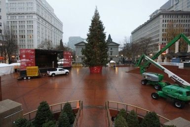 The Christmas tree, target of Somali-born Osman Mohamud, is seen in Pioneer Courthouse Square in Portland, Oregon, November 27, 2010