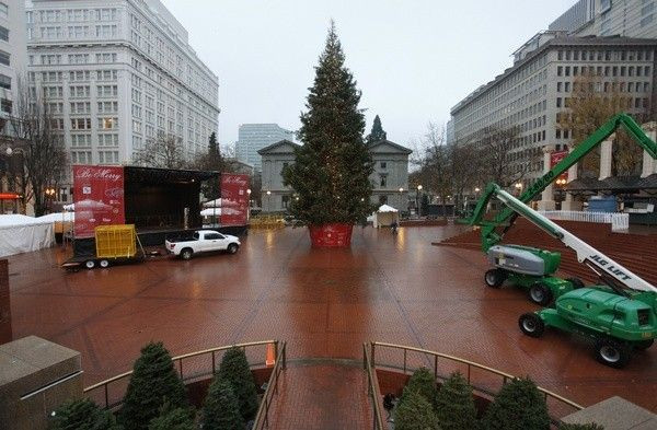 The Christmas tree, target of Somali-born Osman Mohamud, is seen in Pioneer Courthouse Square in Portland, Oregon, November 27, 2010