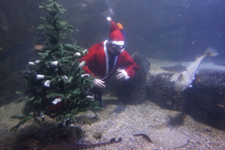 Diver Santa