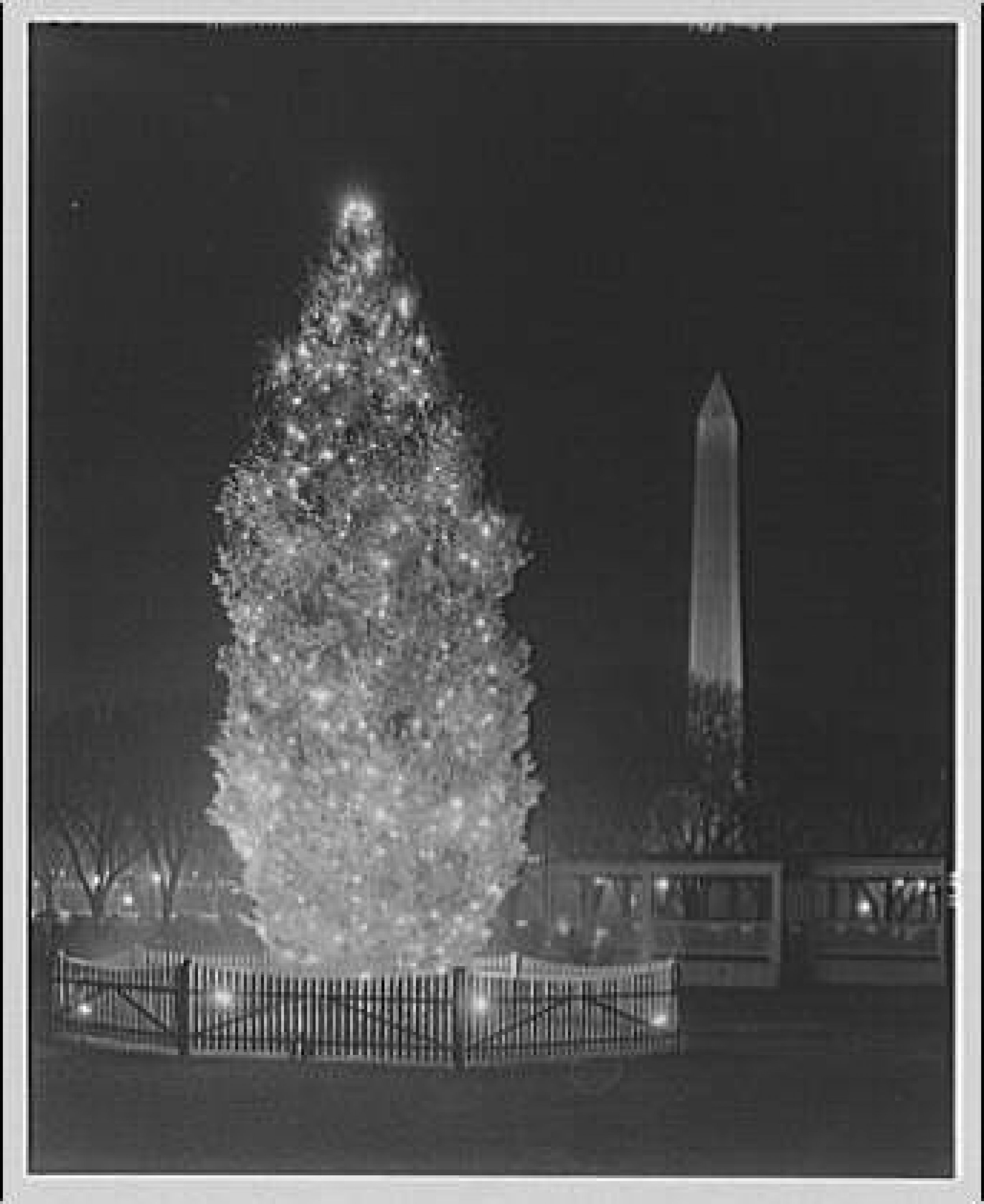 Electric Institute of Washington, Christmas tree I