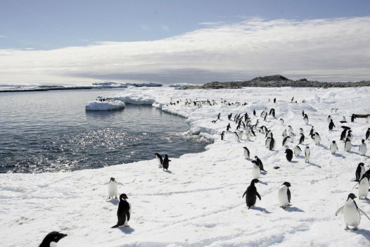 Antarctica