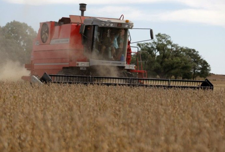 Farmers harvest soybeans