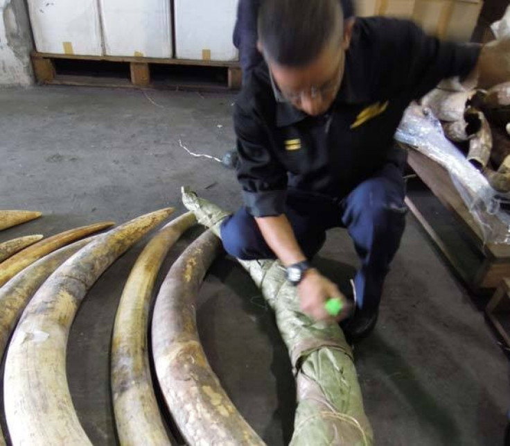 Ivory seized in Malaysia