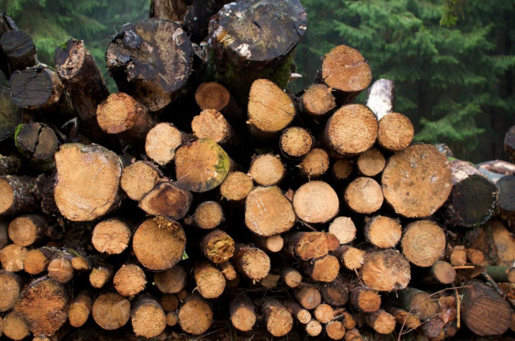 Swedish lumber