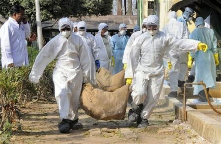 Health workers carry culled poultry for disposal at Gandhigram village, about 35 km (22 miles) west of Agartala, capital of India&#039;s northeastern state of Tripura, March 7, 2011.