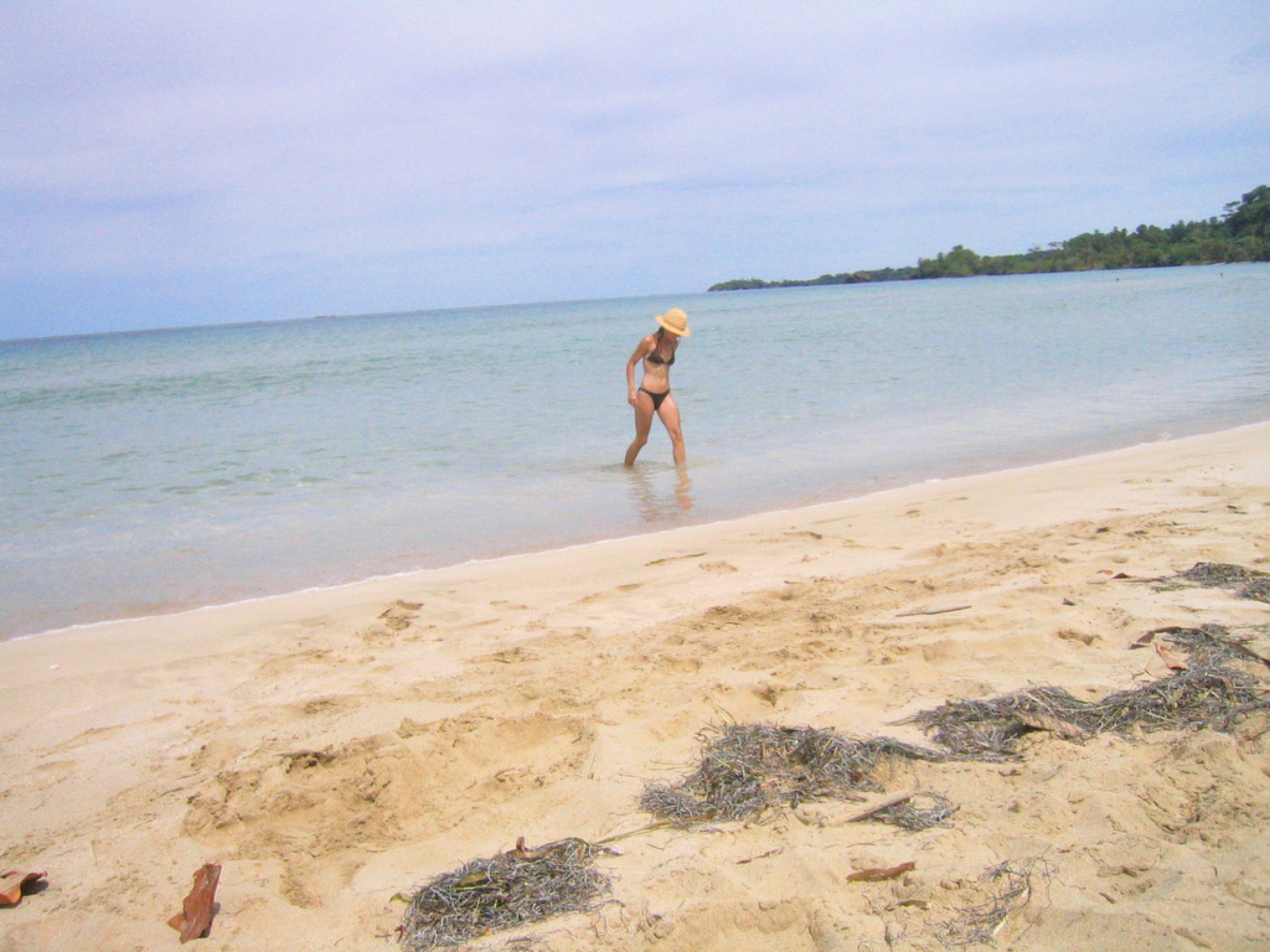 Wizard Beach -- Isla Bastimentos, Panama 