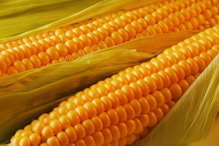 corn