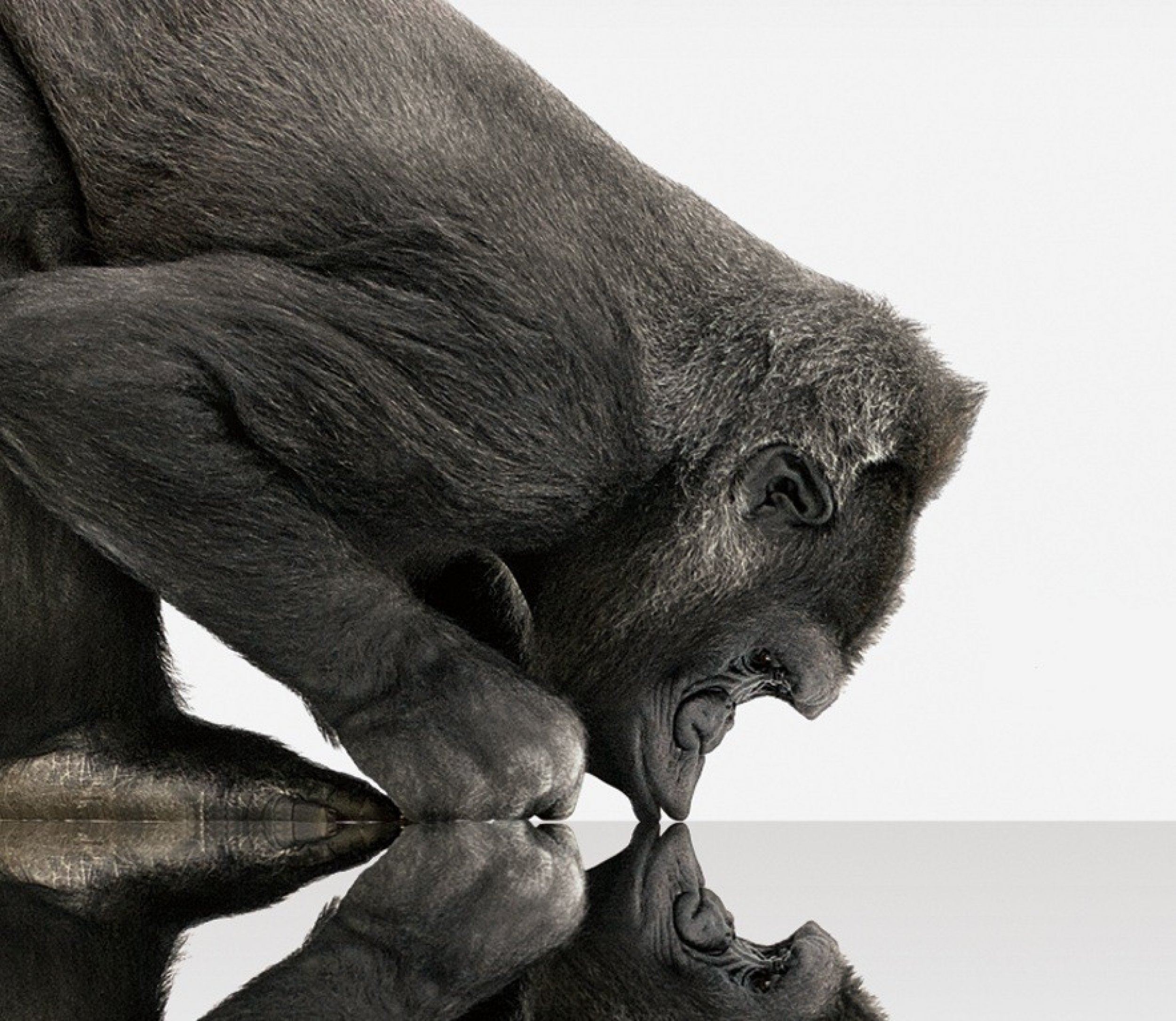 At CES 2012, Corning will introduce the next-generation of its damage-resistant specialty glass for TVs, PCs, smartphones and tablets called Gorilla Glass 2. The new glass is said to be thinner than Gorilla Glass but maintain its predecessors ultra-stren