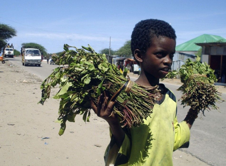 A boy sells khat, a mild stimulant whose leaves are chewed by many Somali men, outside Somalia&#039;s capital Mogadishu
