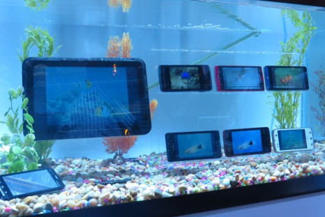 Fujitsu Shows off Waterproof Smartphones and Tablet at CES 2012 (PHOTOS)