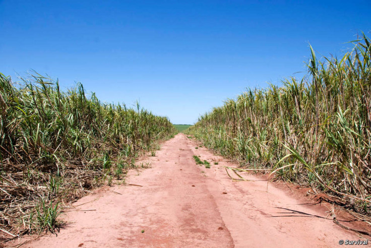 Guarani