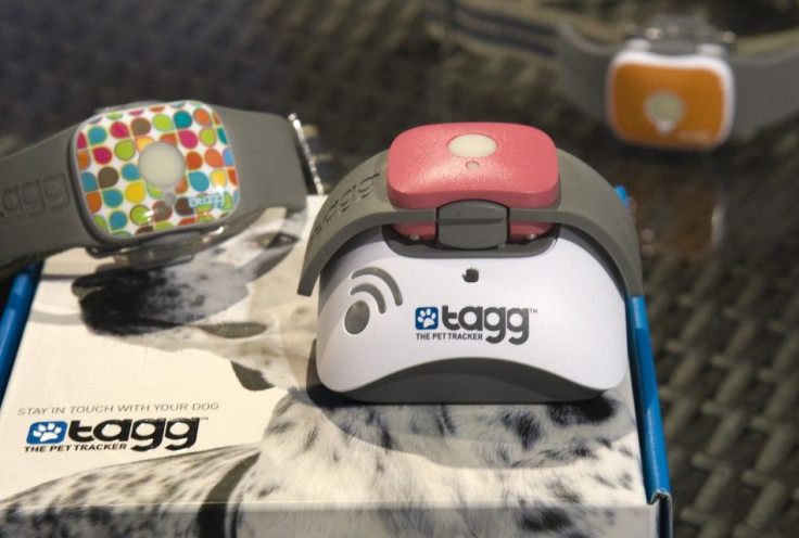 Tagg - The Pet Tracker GPS pet collars are displayed at the Qualcomm booth during the 2012 International Consumer Electronics Show (CES) in Las Vegas, Nevada, January 12, 2012. The collar uses GPS to track a pet's location and can send messages over 