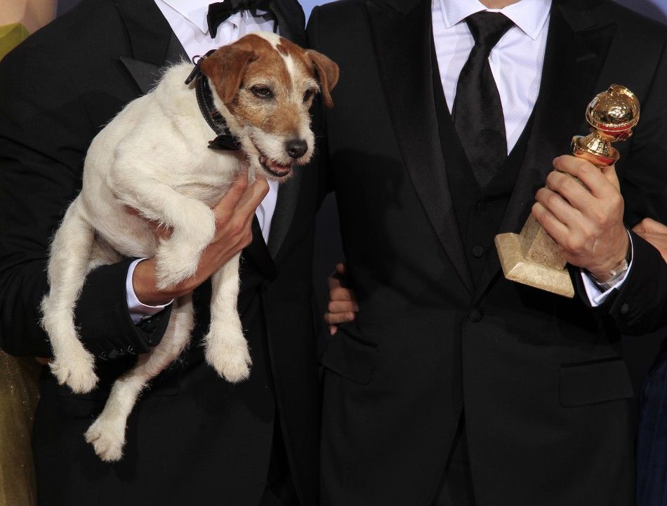 Golden Globe Award 2012 Dog Star Uggie