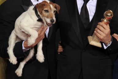 Golden Globe Award 2012: Dog Star Uggie