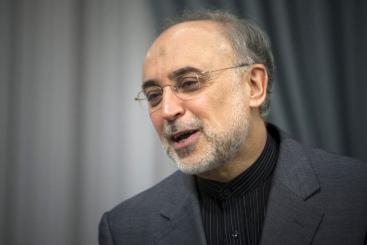 Iran's foreign minister Ali Akbar Salehi