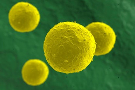 FDA Warns Against Illegal Stem Cell Treatments
