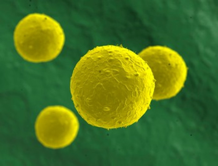 FDA Warns Against Illegal Stem Cell Treatments