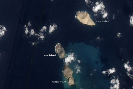 The new island formed on the Red Sea. Image courtesy EO-1/NASA