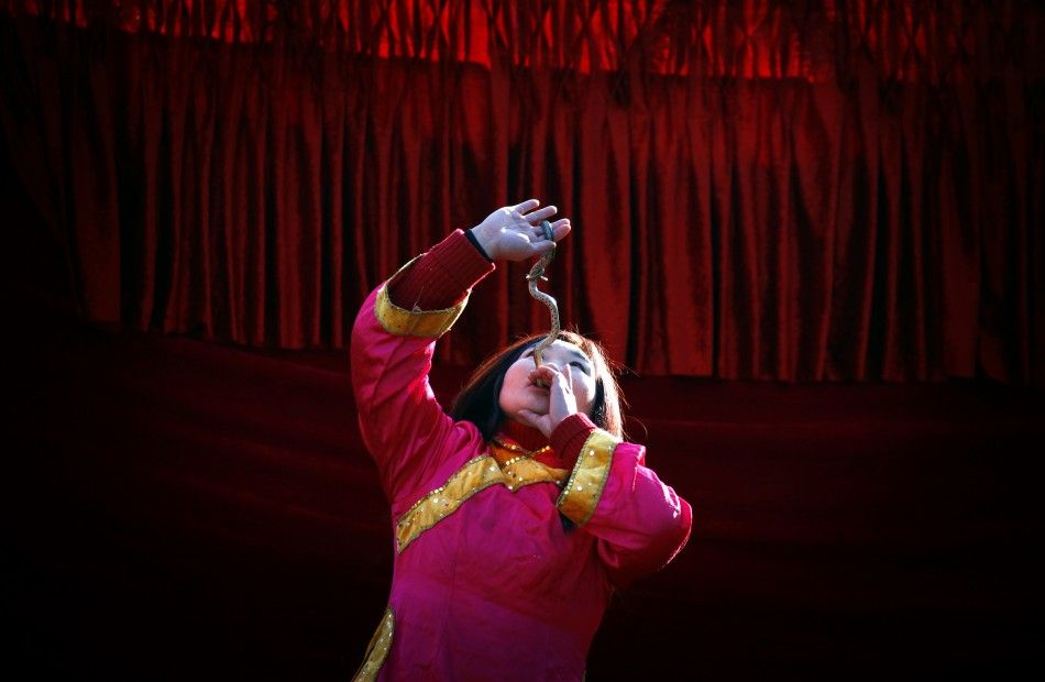 Chinese New Year 2012 Woman Welcomes Dragon Year by Swallowing Live Snake