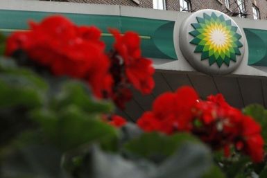 A BP logo is seen on a petrol station in London November 2, 2010.