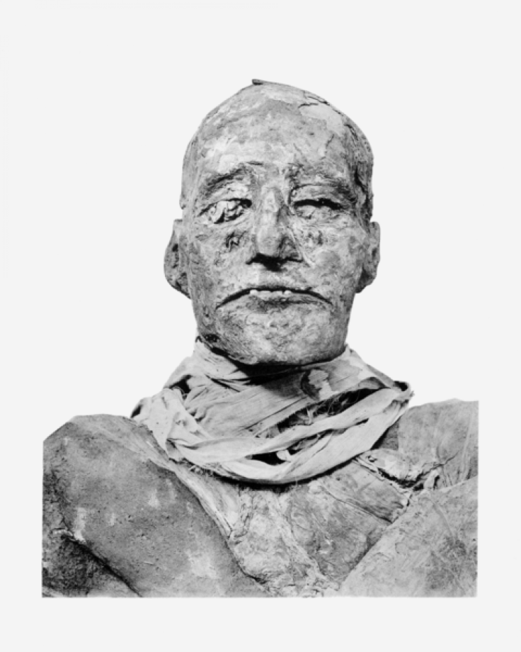 480px-Ramses_III_mummy_head