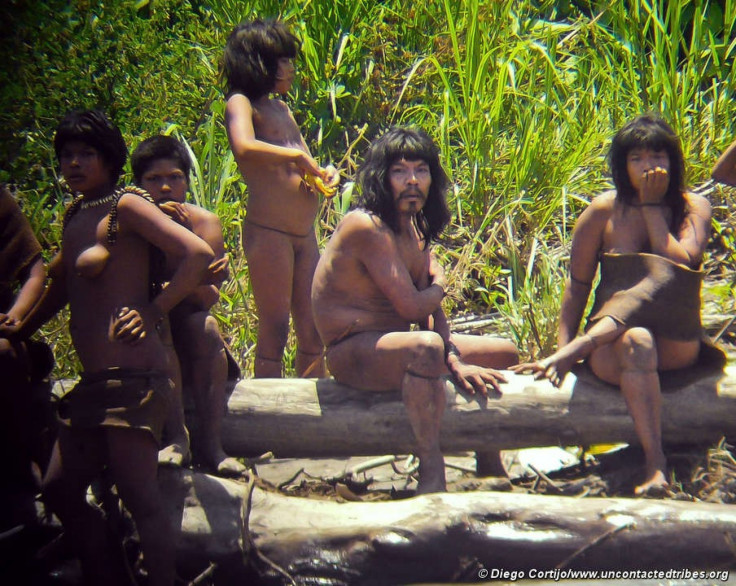 Members of the Mashco-Piro tribe observe an expedition of the Spanish Geographical Society from across the Alto Madre de Dios river in the Amazon basin of southeastern Peru, as photographed through a telescope by Spanish explorer Diego Cortijo on November